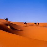 marrakech to fes desert tour
