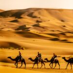 12 days morocco desert tour from casablanca