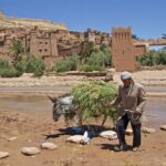 5-Day from Fes to Marrakech Morocco Desert Tour Itinerary
