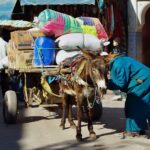 4 days desert tour from marrakech to fes